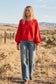 Henley Balloon Sleeve Sweater Top