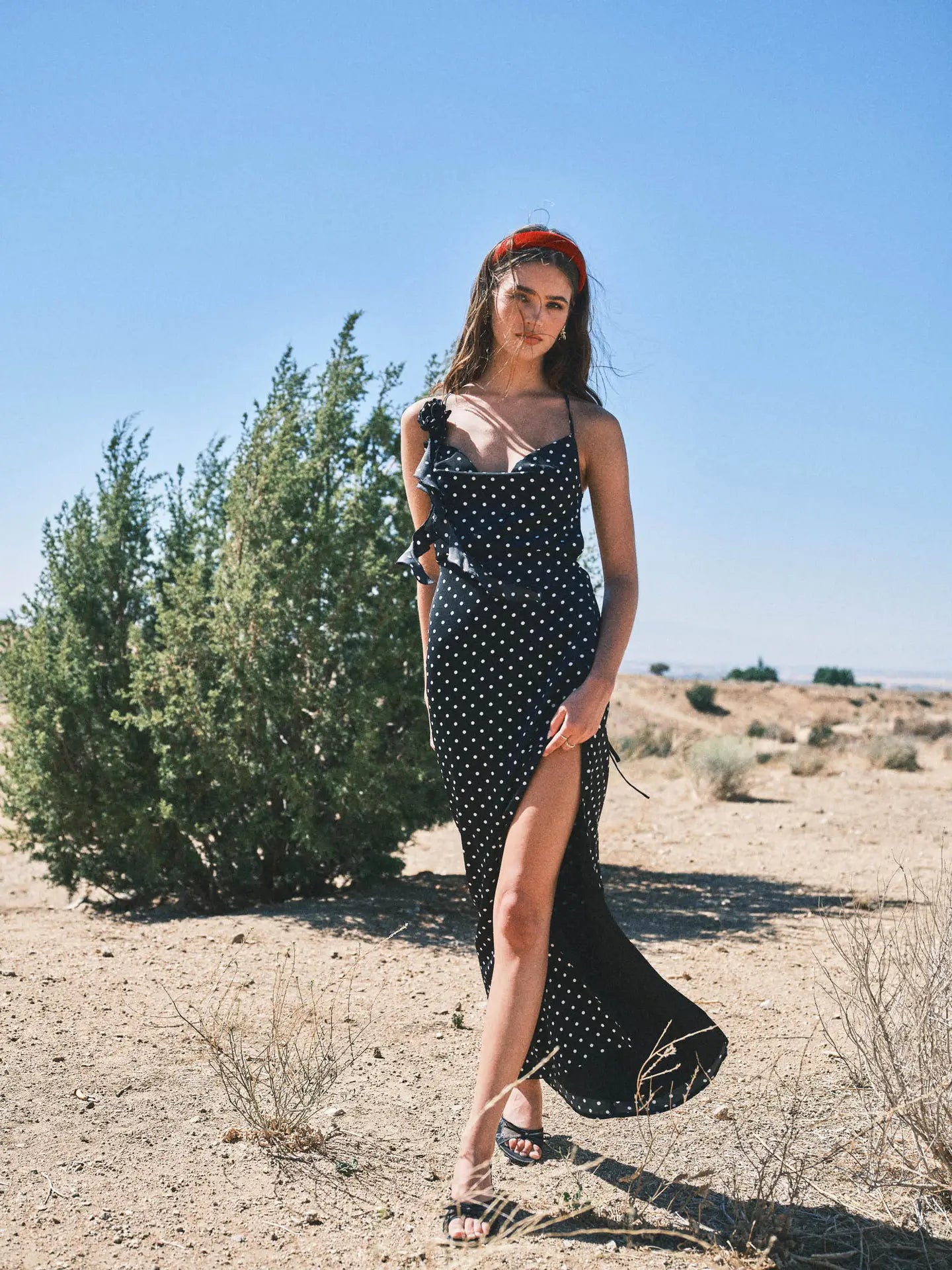 The Evie Dress