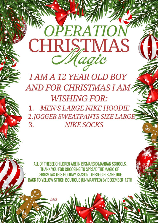 12 YEAR OLD BOY'S CHRISTMAS WISHES