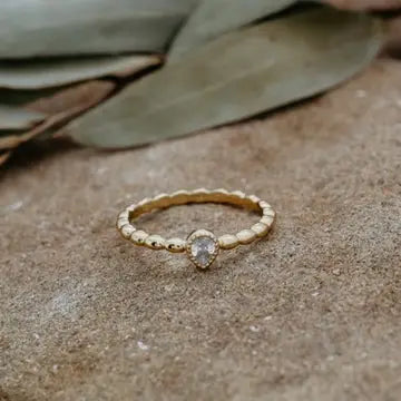 The Holly Ring