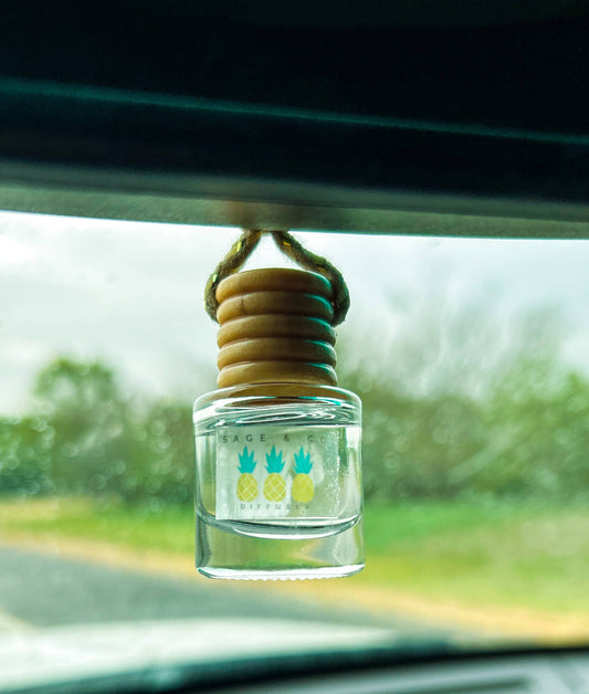 NEW! Spring and Summer Scent Car Diffusers